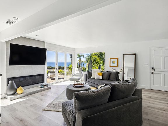 65" TV and Electric Fireplace