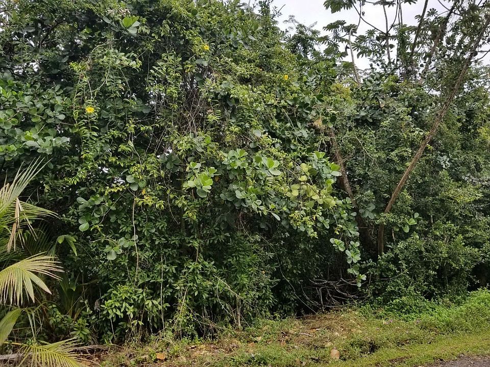 1st image of 13th Ave Lot 1249