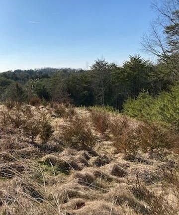 2nd image of 0 Fox Ridge Way