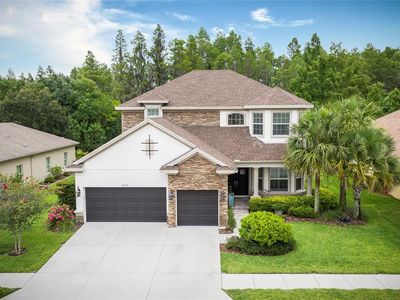 14930 Man O War Dr, Odessa, FL, 33556