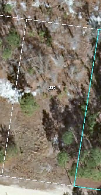 2nd image of 230 Pine Oak