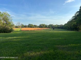 0 Newman Rd, Edwards, MS 39066