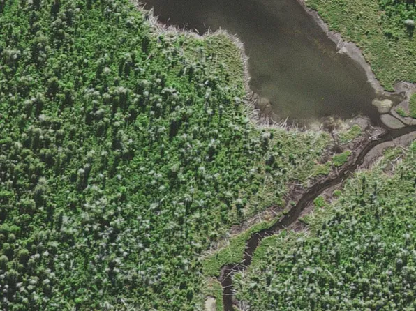 Co Road Sq, Arnold, MI 49819