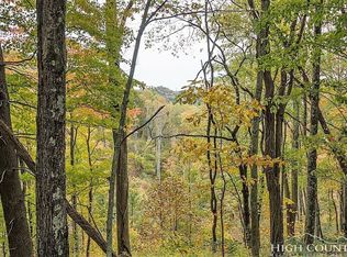 3758 Lot 11 Rush Branch Rd, Sugar Grove, NC 28679