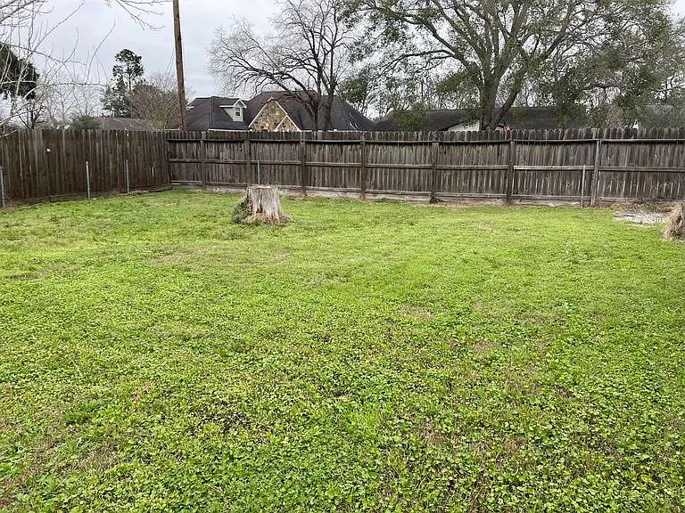Large backyard