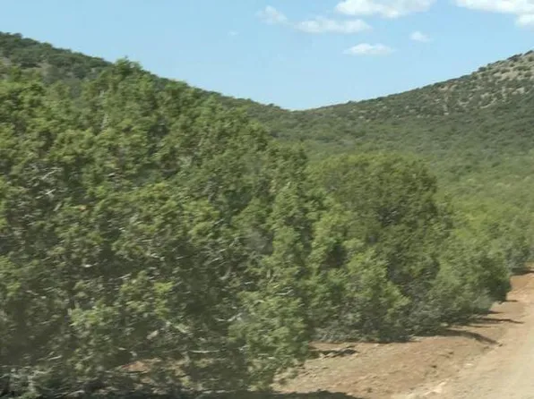 268 Olivas Alone Rd, Williams, AZ 86046