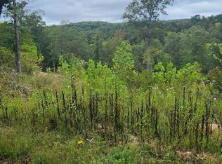 TRACT 2 Blue Creek Rd, Chadwick, MO 65629