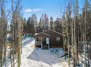 128 Thickspike Rd, Fairplay, CO 80440