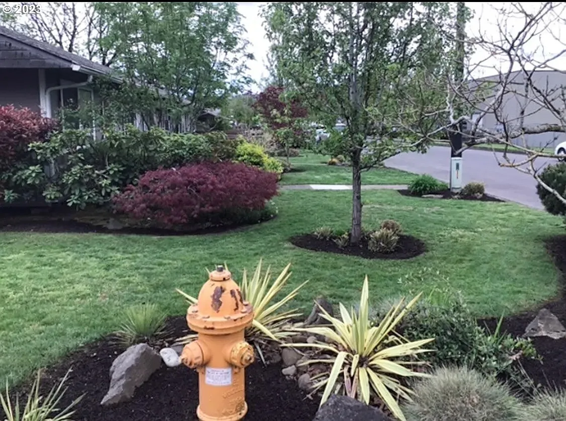 2 bed, 800 sqft, $1,795 — Photo 2