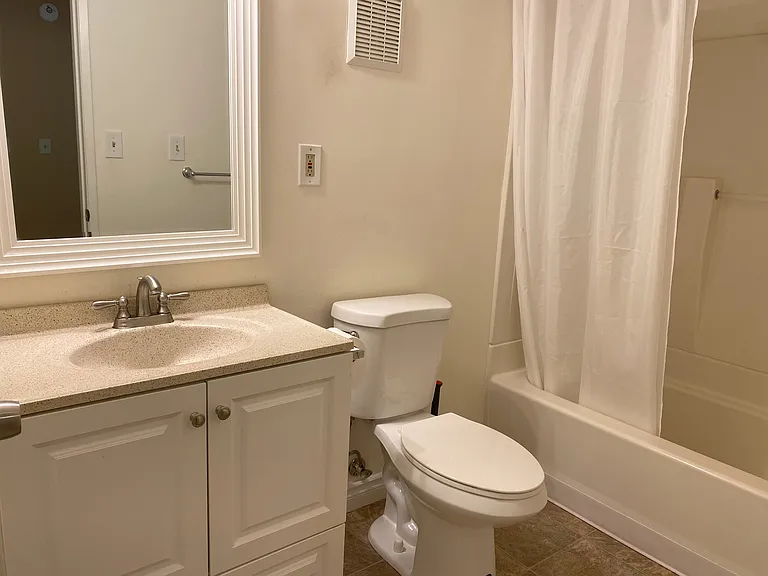 Room 1- Master Bathroom View 2