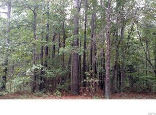 21007 Skinquarter Rd, Moseley, VA 23120