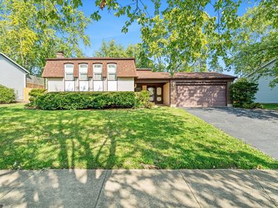 446 Rockhurst Rd, Bolingbrook, IL, 60440