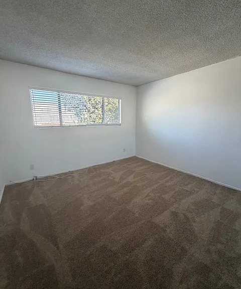 9804 Regent St #5 — Photo 13