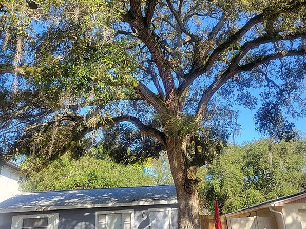 331 43rd Ave N, Saint Petersburg, FL 33703