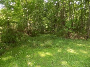 50 Quinn Hill Rd, Port Crane, NY 13833