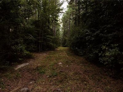 0 Twin Bridges Rd, Elmer, LA, 71424