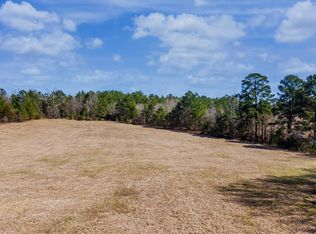 Fm 450 N, Diana, TX 75640