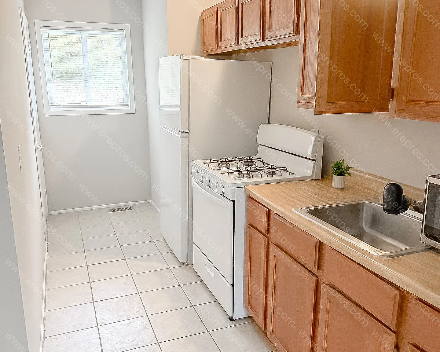 1 bed, 650 sqft, $800 — Photo 3