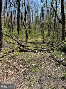 0 Bear Creek Rd, Schuylkill Haven, PA, 17972
