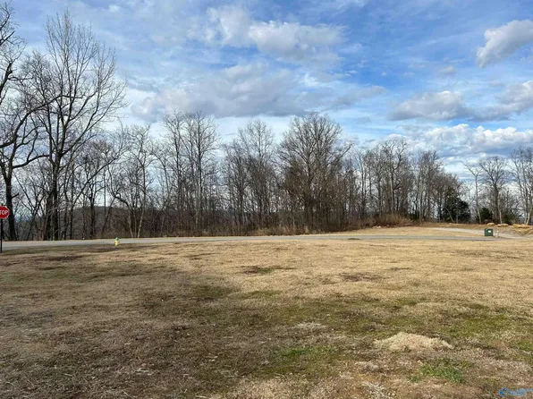 152 Ledge View Dr SE, Huntsville, AL 35802