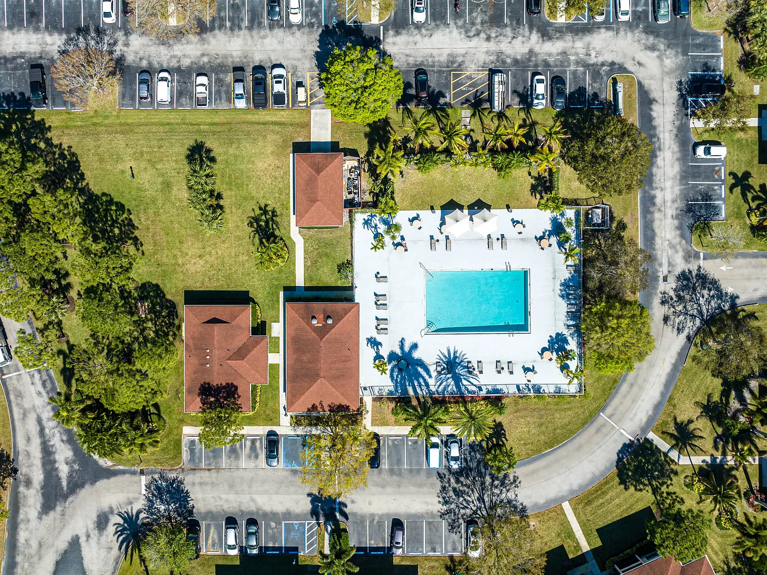 10X Harbour Palms — Photo 4
