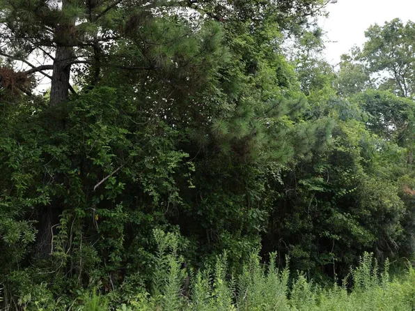 45 Partridge Rd, Kingstree, SC 29556