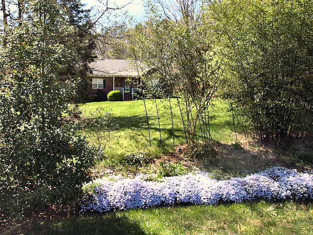 1st image of 8003 Parkview Ln