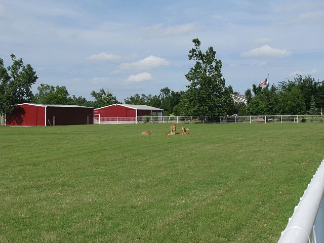 pastures, workshops