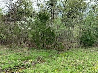 2nd image of 0 County Road 535