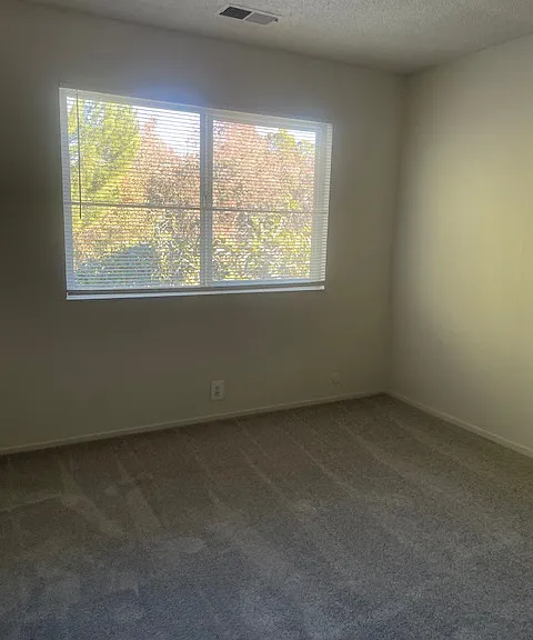 4305 Rilea Way #4 — Photo 20