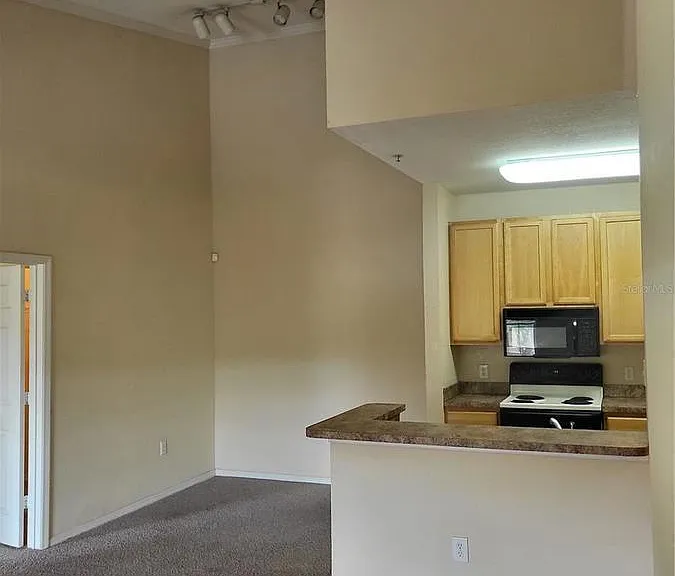 10213 Courtney Palms Blvd #303 — Photo 10