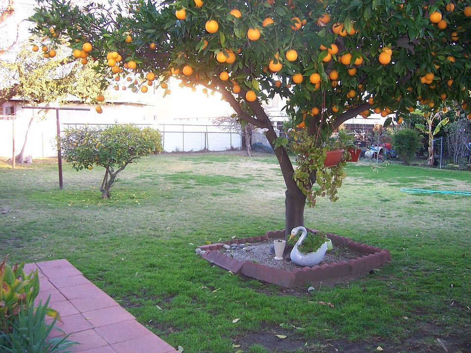 Fruit trees in large back yard. Plently of room for addition onto home.