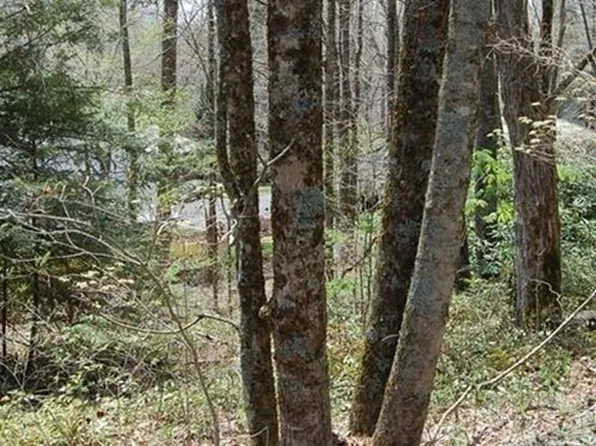 439 Locust Road, Newland, NC 28657