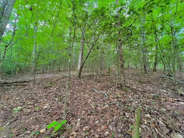 0 Emerald Pond Dr, Blairsville, GA 30512