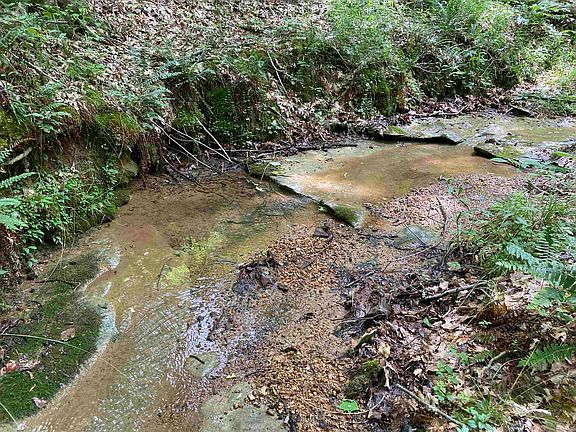 33rd image of this home