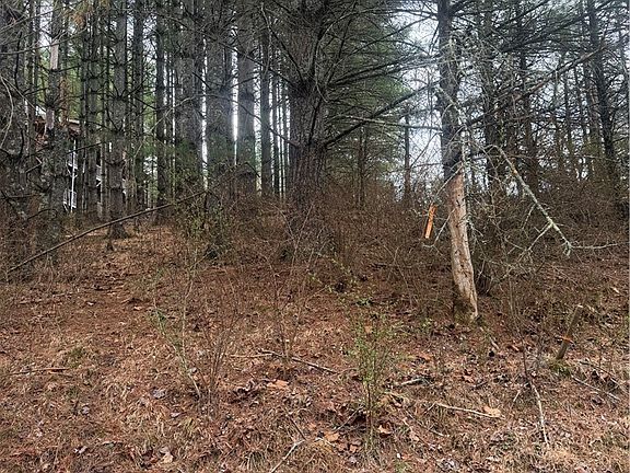 5th image of TBD Lucky Hill