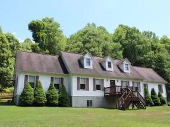 132 Beaver Rd, Craigsville, WV 26205