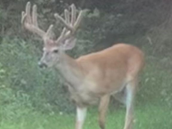 4th image of 0 S Stewart Rd