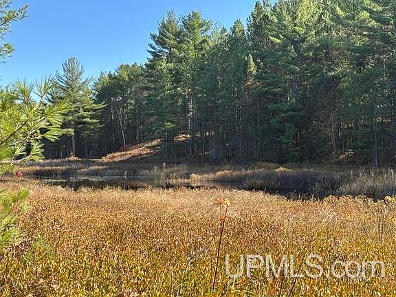2nd image of 9200 Lost Lake Rd