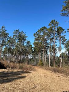 6446 Fm 752 S, Rusk, TX, 75785