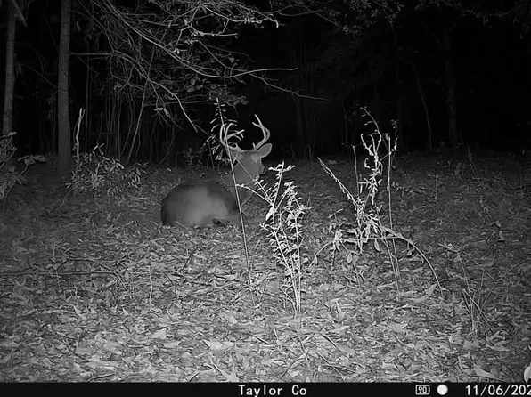 0 Americus Hwy, Rupert, GA 31081