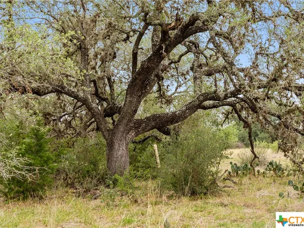 365 Summit Ridge Trl, Johnson City, TX 78636