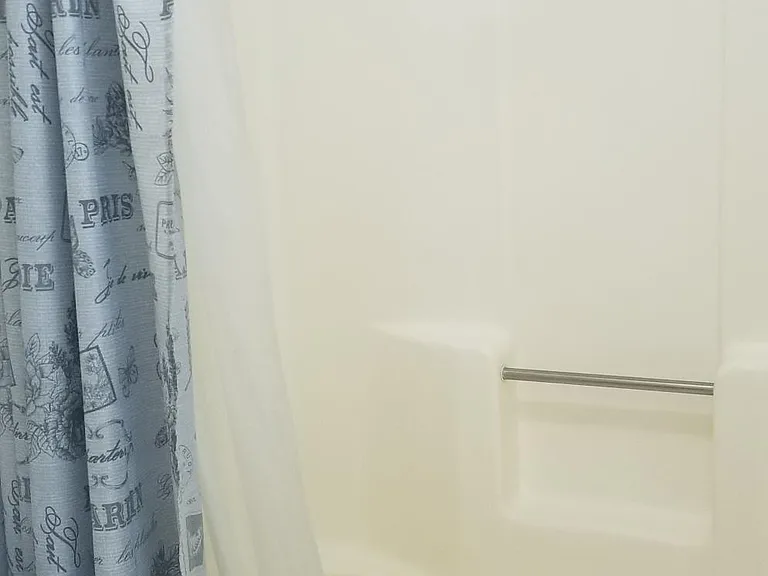 Master bathtub and shower