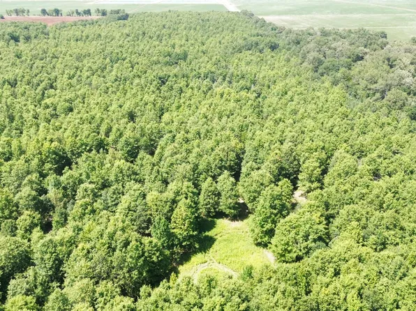 442 Highway, Schlater, MS 38952