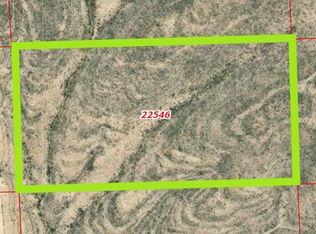 22546 Cedar Springs Rd, Terlingua, TX 79852