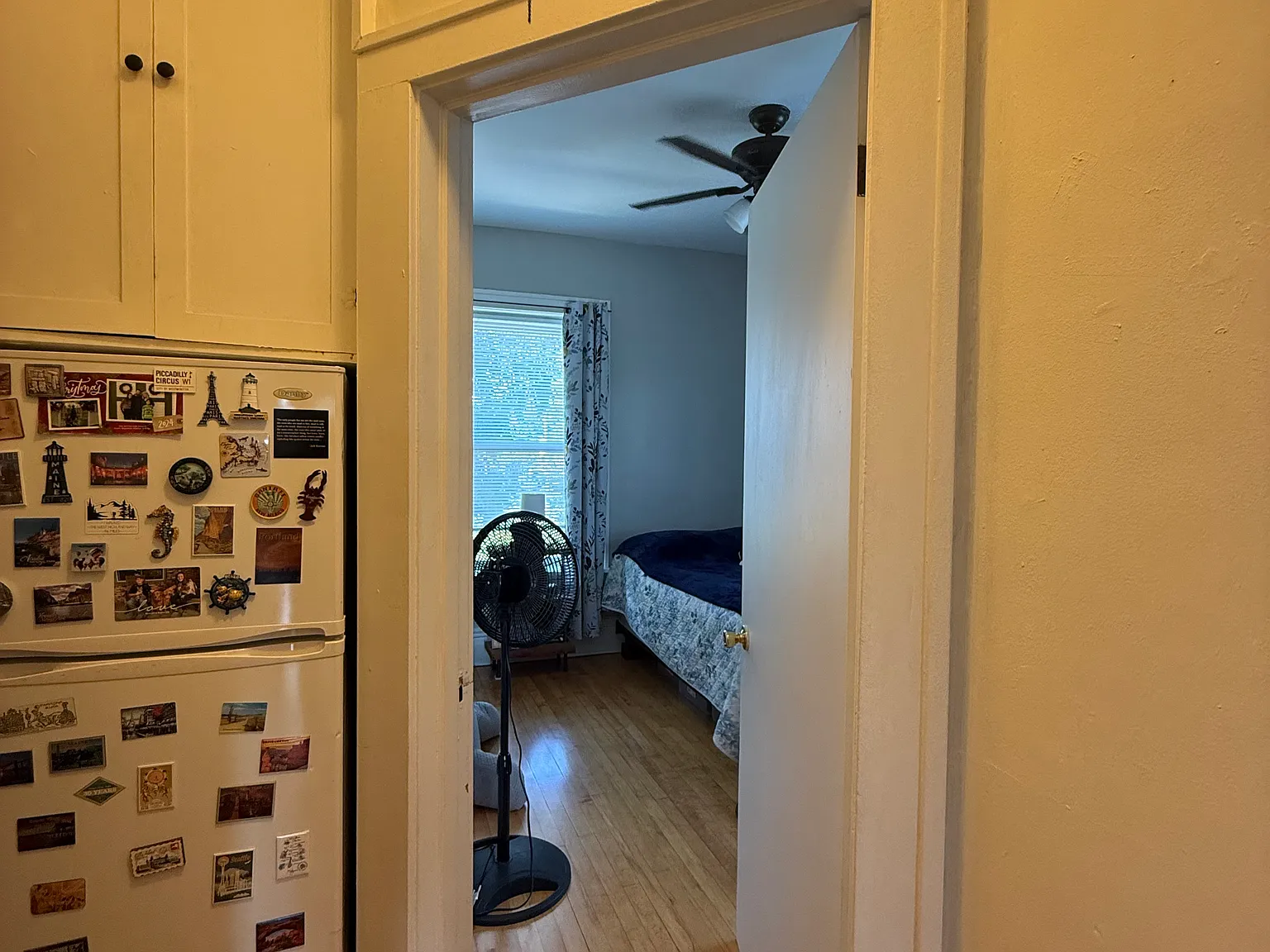 1 bed, $1,299 — Photo 4