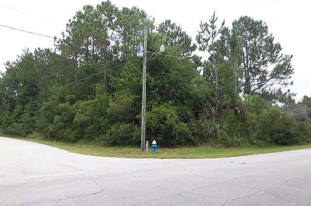 1st image of 41 Williams Dr