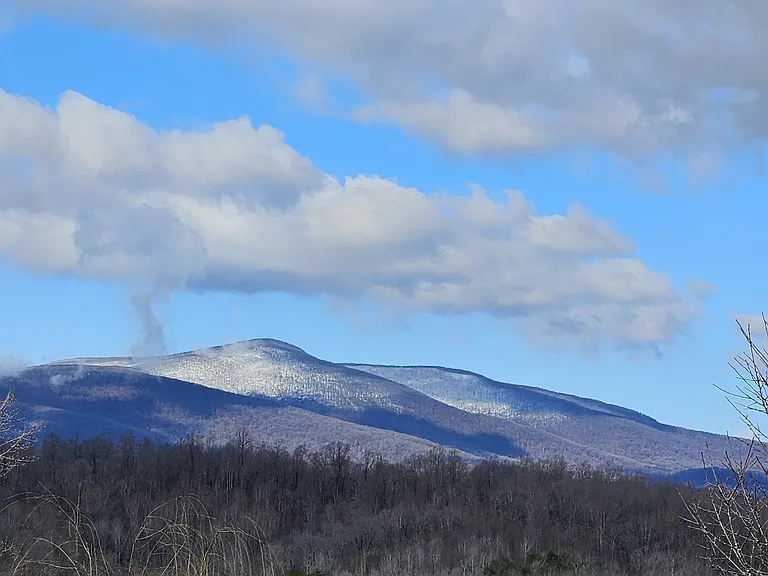 Taylor Creek Rd — Photo 40