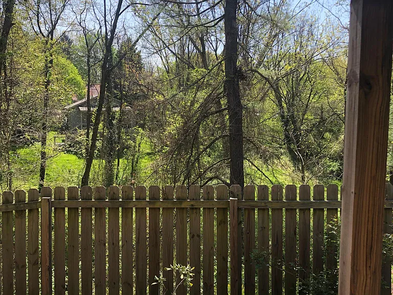 50 Sulphur Springs Rd — Photo 13