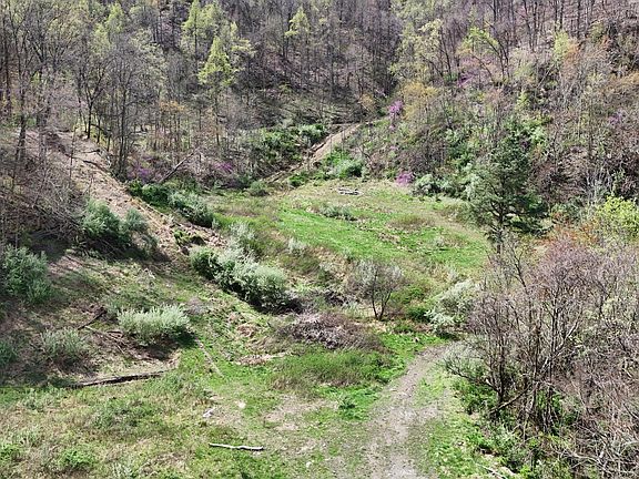 4th image of 227 Delmar Sgt Rd